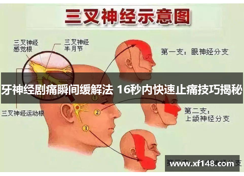 牙神经剧痛瞬间缓解法 16秒内快速止痛技巧揭秘